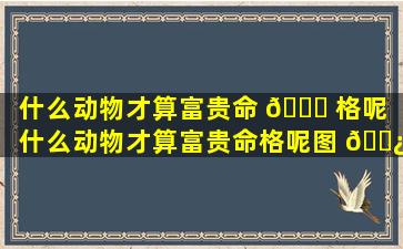 什么动物才算富贵命 🐛 格呢「什么动物才算富贵命格呢图 🌿 片」